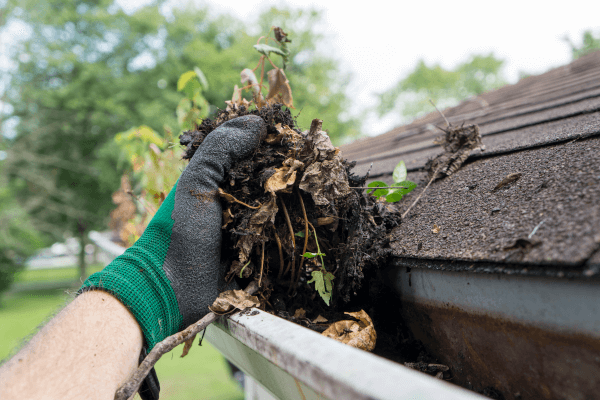 cleaning roof gutters removing sticks dirt leaves